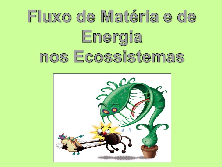 Fluxo de Matéria e Energia nos Ecossistemas: Resumo