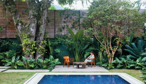 Paisagismo e Jardins Residenciais com Árvores Frutíferas