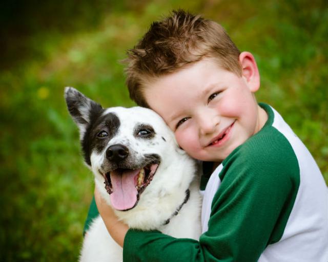 Como o Cachorro se Relaciona com o Ser Humano