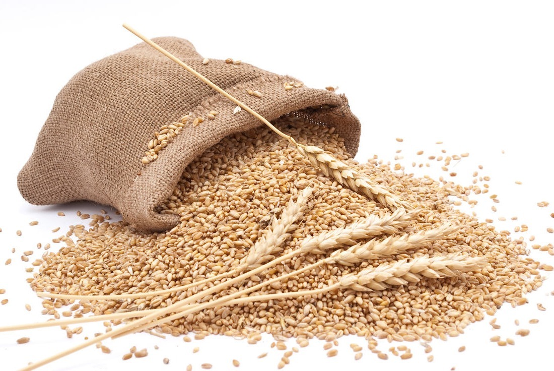 Composição do Farelo de Trigo Para Animais: Tabela Nutricional