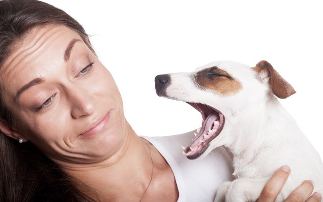 Cachorro Com Mau Cheiro Na Boca: Como Limpar E Resolver?