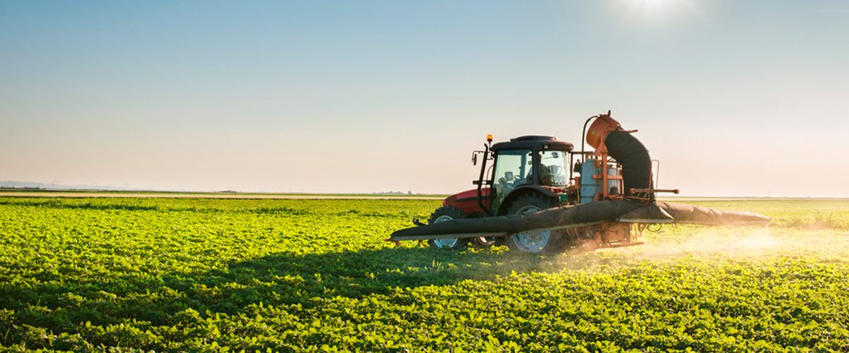 Qual a Importância do Agronegócio Para o Brasil?