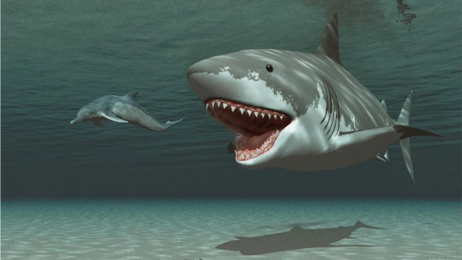 Espécies de Tubarões Extintos com Nomes e Fotos