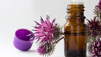 Bardana Para Cabelo: Para Que Serve? Como Usar?