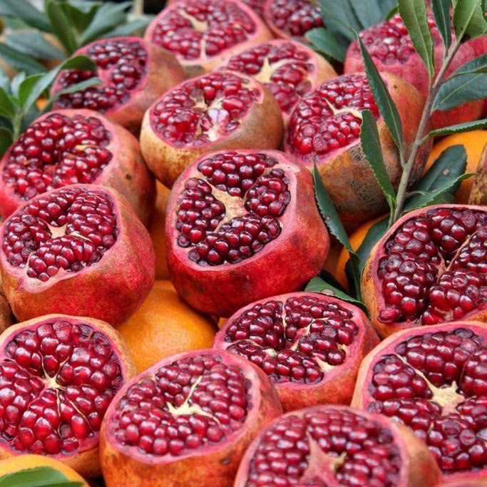Como Plantar Romã no Quintal, Fazer Pomar e Plantar em Vaso?