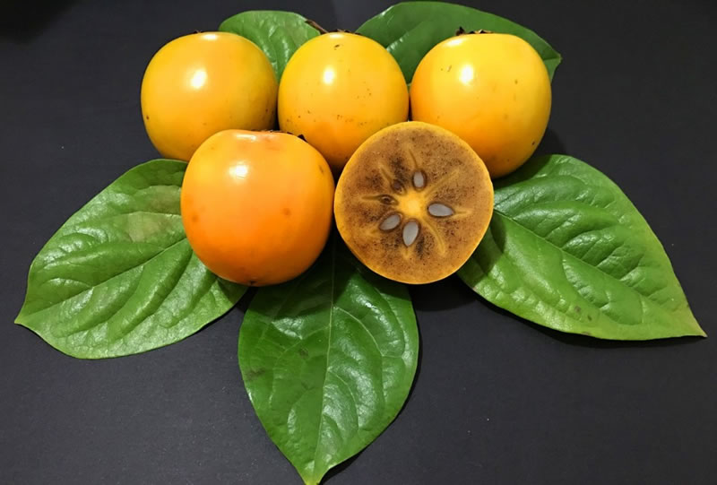 Gabiroba Para Diabetes, Emagrecer, Câncer, Suco E Fruta