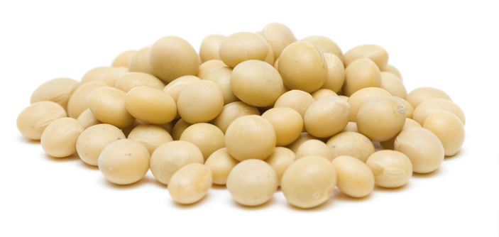 Como usar a Soja para Reposição Hormonal?