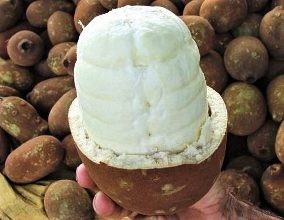 Como Fazer Licor de Mangostão?