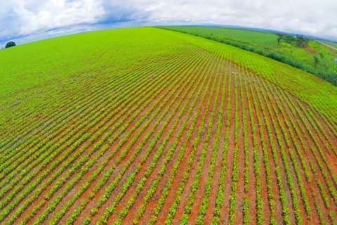 Quantos Hectares de Terra Tem o Brasil? Qual Área de Agricultura?