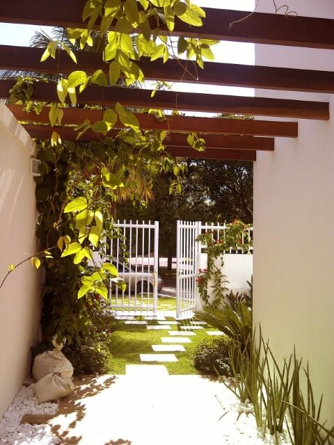 Top 10 Plantas Ideais Para Pergolados Internos: Ideias e Imagens