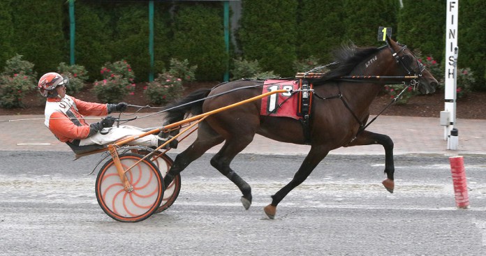 Quais as Melhores Raças de Cavalos de Corrida?