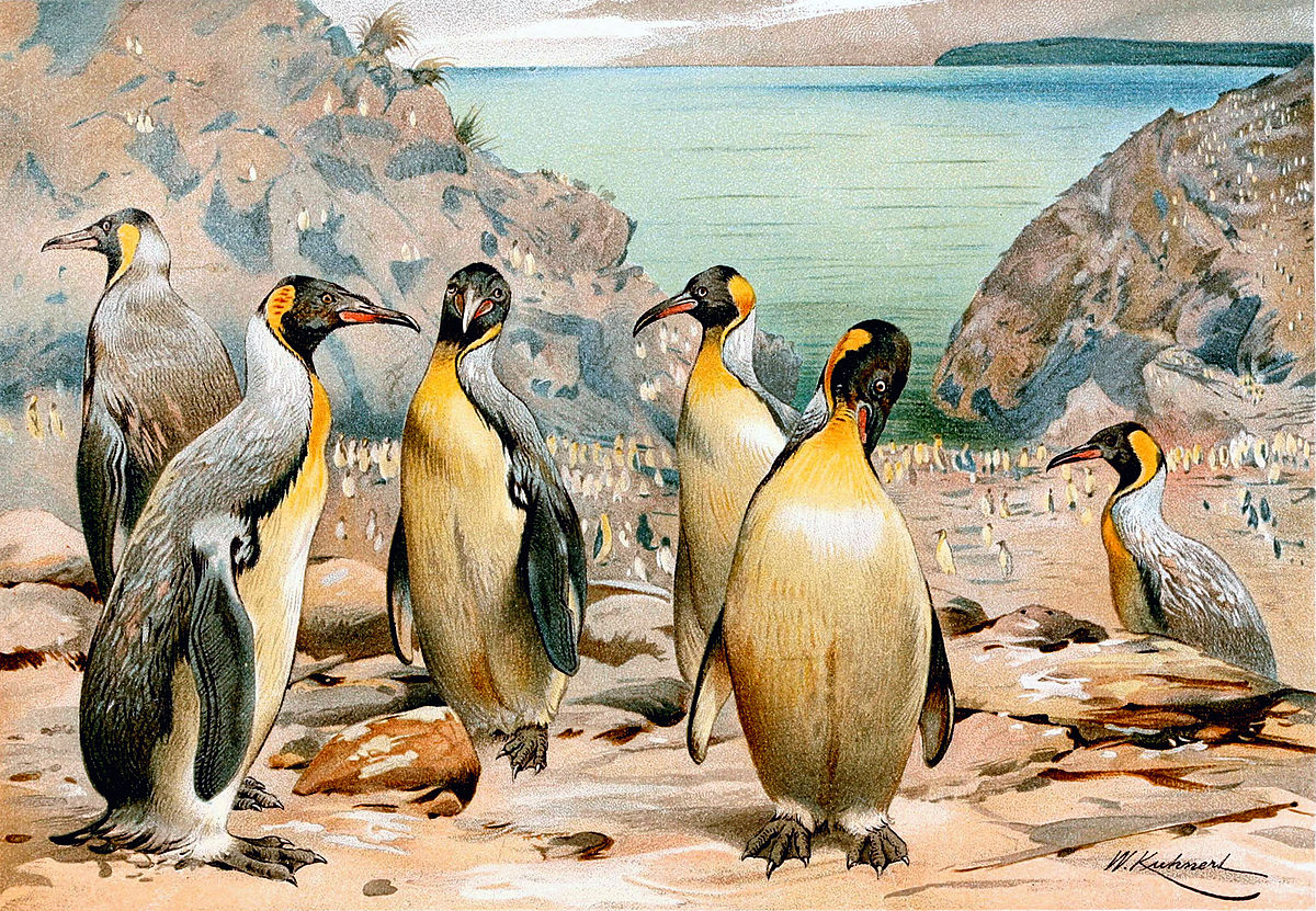 Pinguim Palaeeudyptinae Gigante: Características e Extinção 