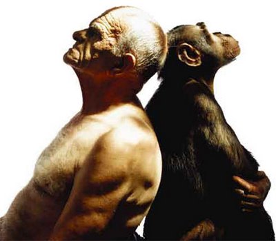 Por Que Ainda Existem Macacos? O Homem Não Evoluiu Dele?