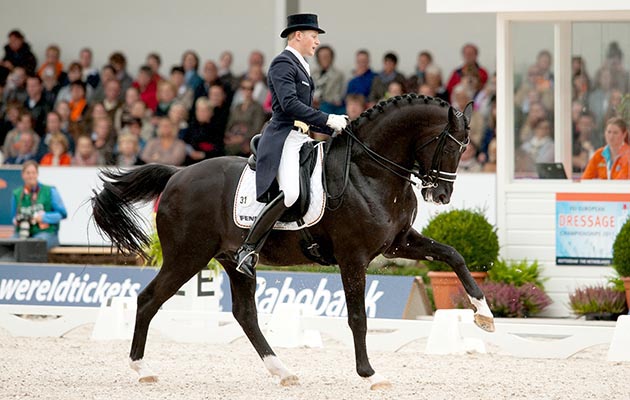 Top 10 Cavalos Mais Caros do Brasil Com Nome e Fotos