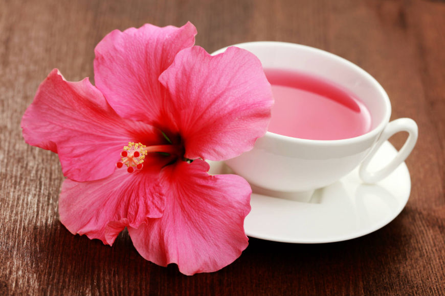 O Chá de Hibisco Pode Tomar a Noite? Qual o Melhor Horário?
