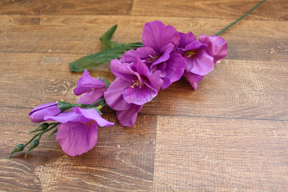 Como Plantar Galho de Hibisco? Qual a Melhor Época?