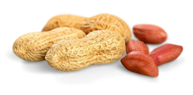 Amendoim Engorda? Ele é Bom Para Ganhar Massa Muscular?