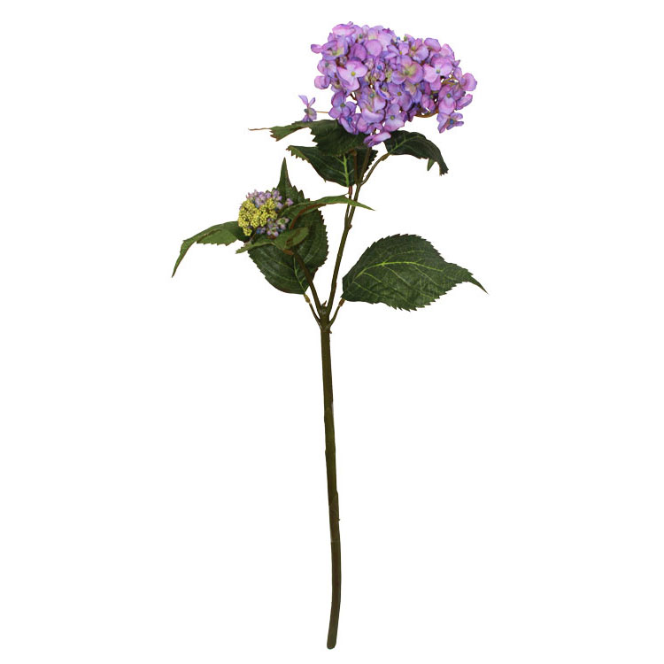 Como Plantar Hortênsia de Galho? Passo a Passo