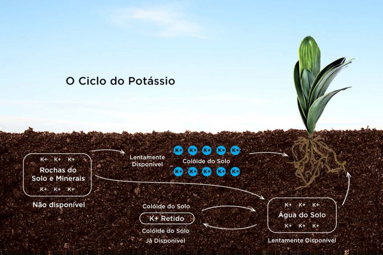 Potássio no Solo