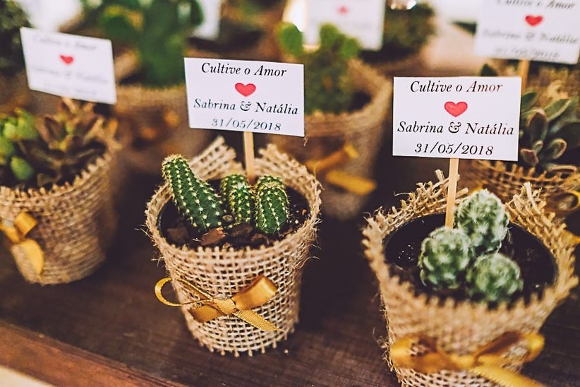 Significado Dar Cacto De Presente No Casamento