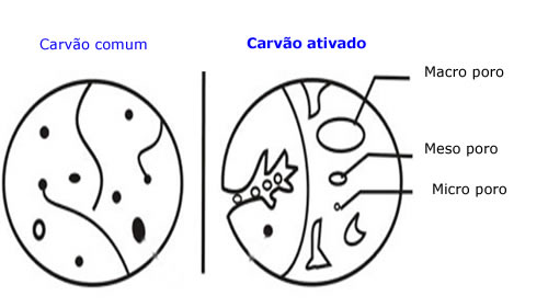 Qual a Diferença de Carvão Vegetal e Carvão Ativado?
