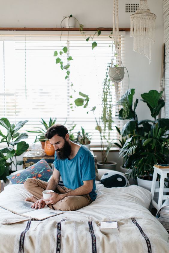 Por Que Não Se Pode Dormir Com Plantas no Quarto?