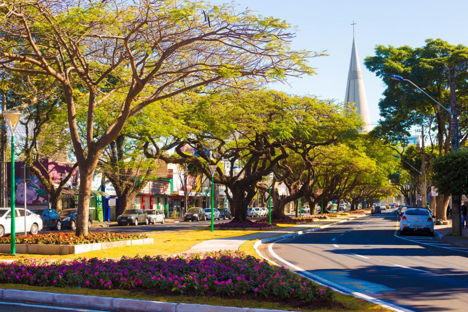 Como plantar uma árvore nativa em áreas urbanas?
