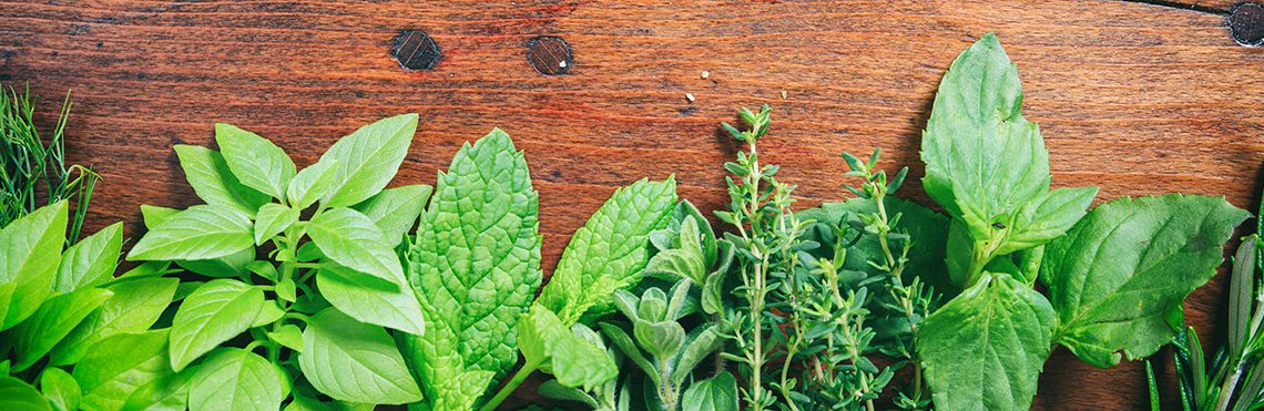A relação entre ervas aromáticas e repelentes naturais