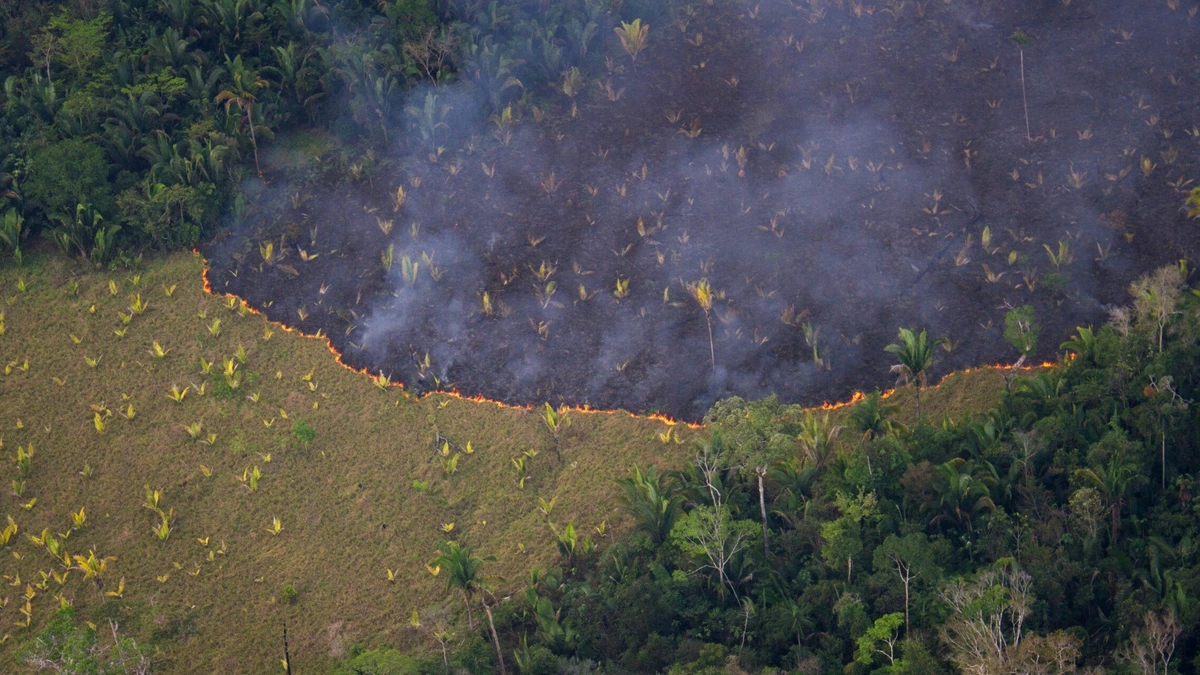 Erosão acelerada por retirada de cobertura vegetal
