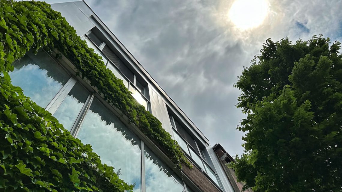 Ilhas de Calor Urbanas: Causas, Efeitos e Como Reduzir